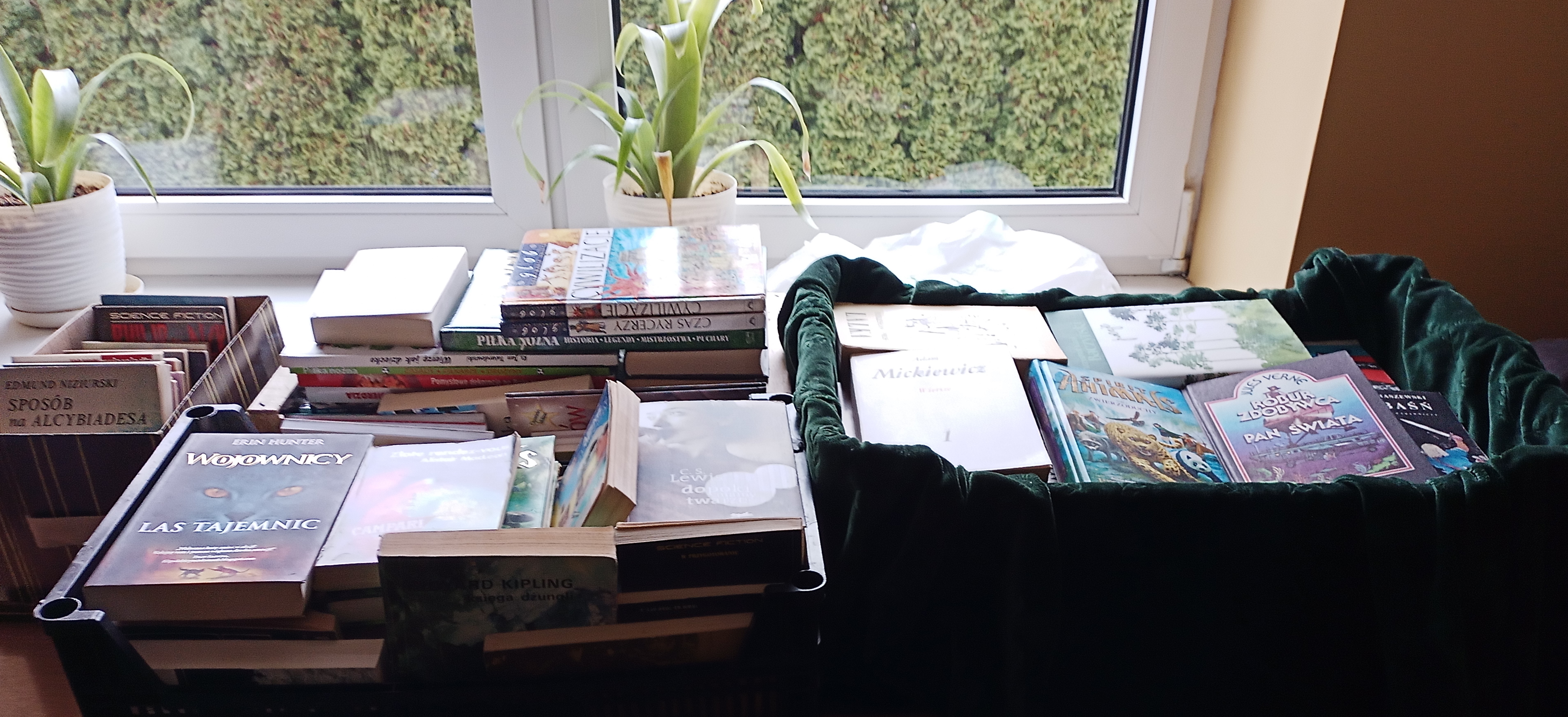 Nastoletni Azyl 3.jpg (3.86 MB)