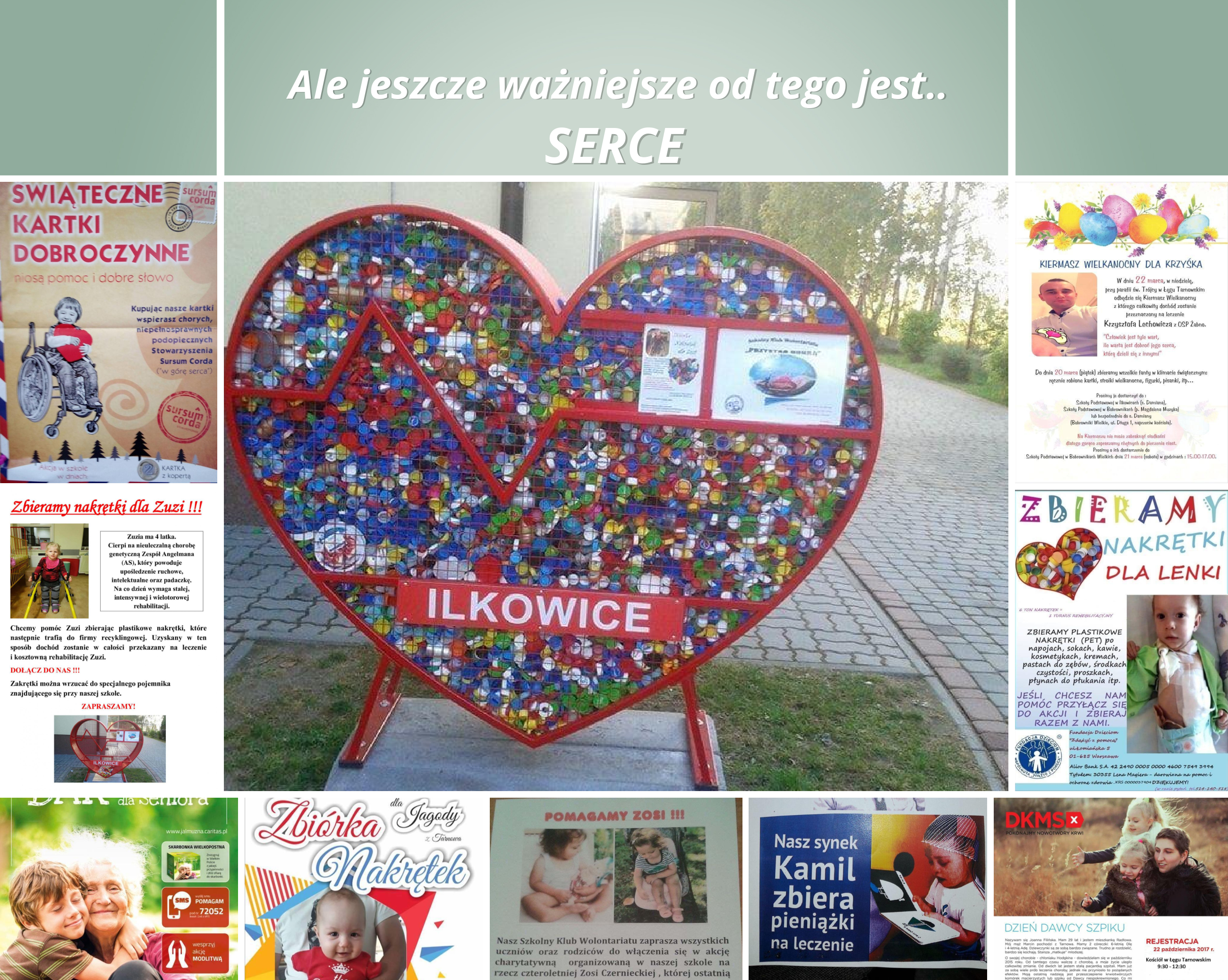 2. WOLONTARIAT.jpg (4.62 MB)