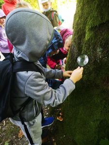 WYCIECZKA UCZNIÓW KLASY I DO BRZEŹNICY I WAŁ RUDY