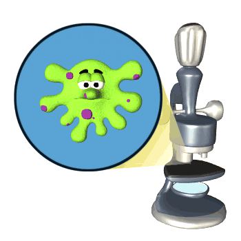 BIOLOGIA DA SIĘ LUBIĆ