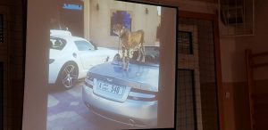 spotkanie z podróżnikiem NAMBIA