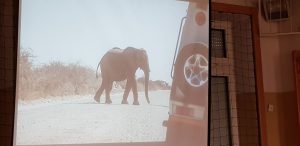 spotkanie z podróżnikiem NAMBIA