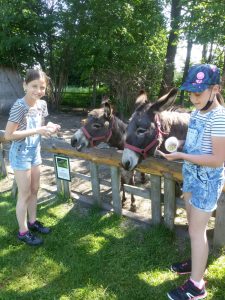 MINI  Zoo – wycieczka kl. I-III