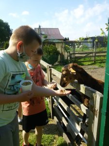 MINI  Zoo – wycieczka kl. I-III