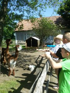 MINI  Zoo – wycieczka kl. I-III