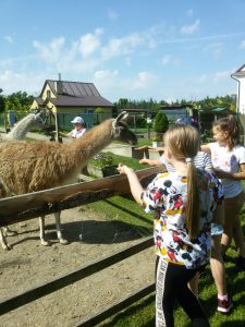 MINI  Zoo – wycieczka kl. I-III
