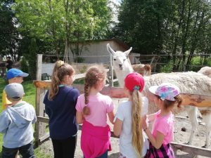 MINI  Zoo – wycieczka kl. I-III